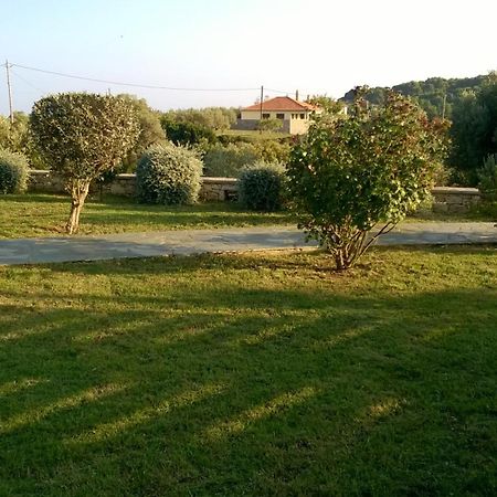 Villa Mirothea Alonissos Alónnisos Habitación foto